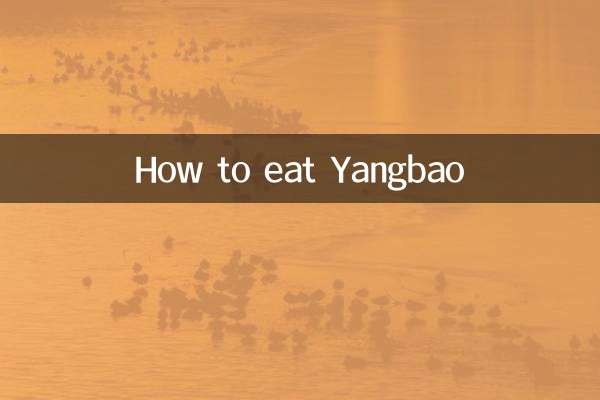 كيف تأكل يانغباو