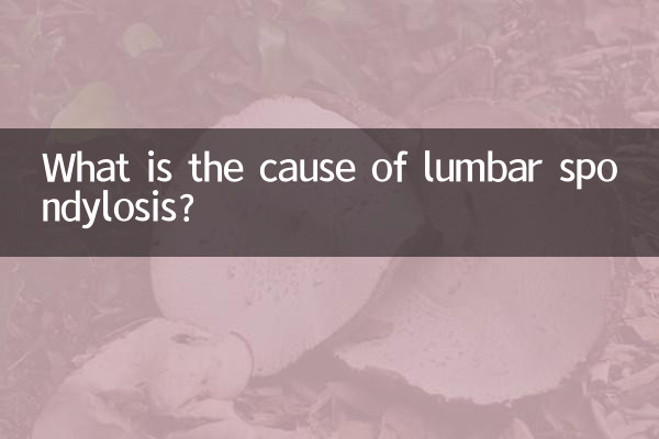 What is the cause of lumbar spondylosis?