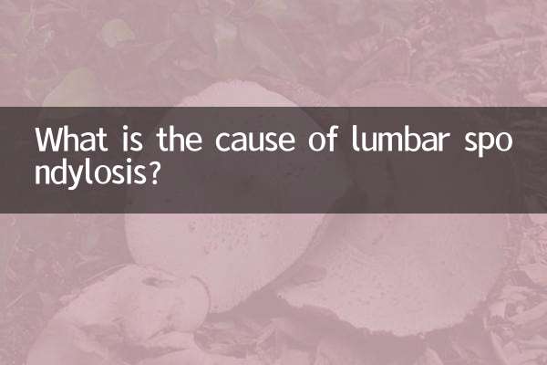 What is the cause of lumbar spondylosis?