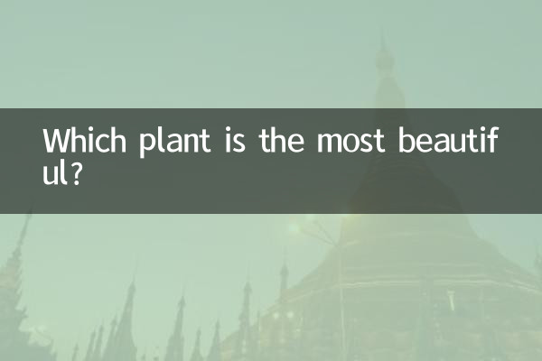 Which plant is the most beautiful?