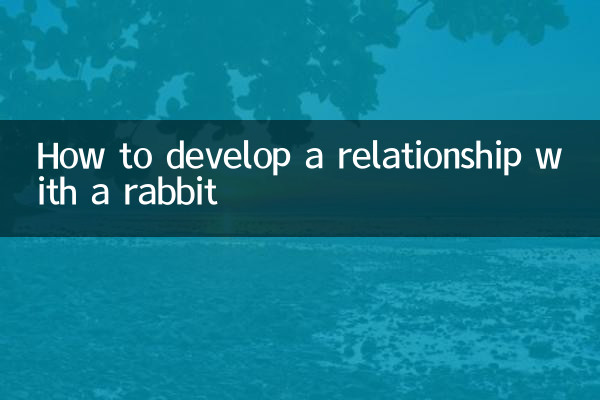 How to develop a relationship with a rabbit