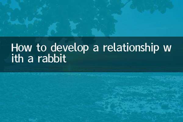 How to develop a relationship with a rabbit