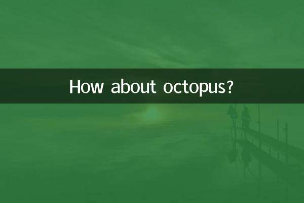 八爪鱼怎么样的