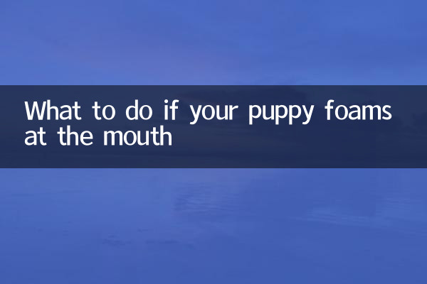 اگر آپ کے کتے منہ پر جھاگ ڈالیں تو کیا کریں