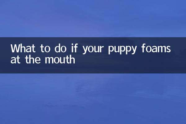 子犬が口から泡を吹いた場合の対処法