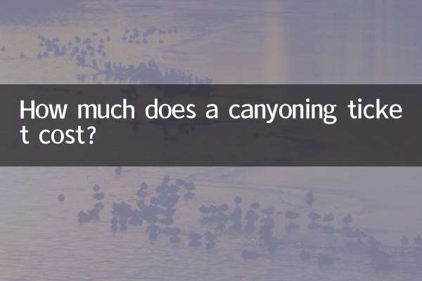 كم تبلغ تكلفة تذكرة التجديف؟