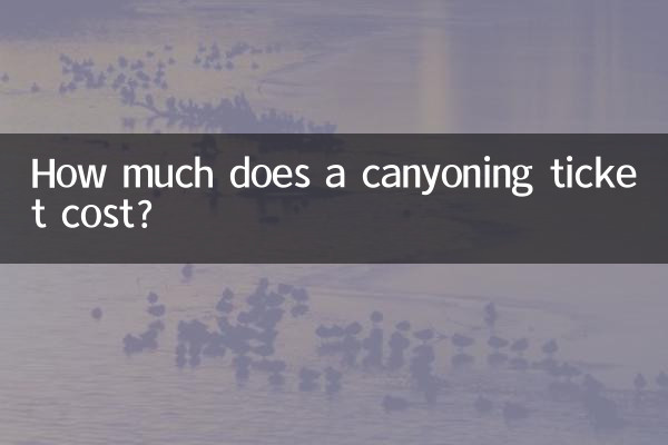 ¿Cuánto cuesta una entrada de barranquismo?