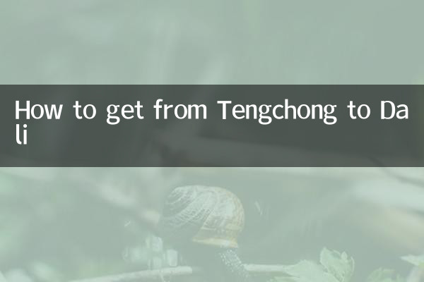 টেংচং থেকে ডালি কীভাবে যাবেন