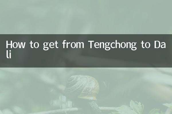 টেংচং থেকে ডালি কীভাবে যাবেন