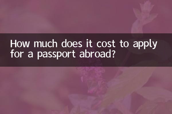بیرون ملک پاسپورٹ کے لئے درخواست دینے میں کتنا خرچ آتا ہے؟