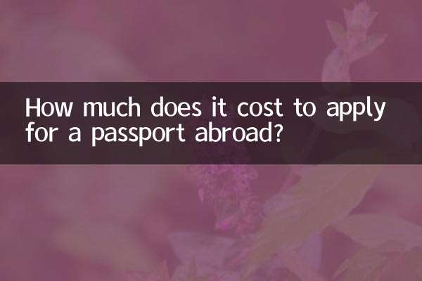 بیرون ملک پاسپورٹ کے لئے درخواست دینے میں کتنا خرچ آتا ہے؟