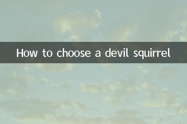 शैतान गिलहरी कैसे चुनें
