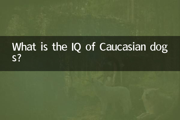 Qual è il QI dei cani caucasici?