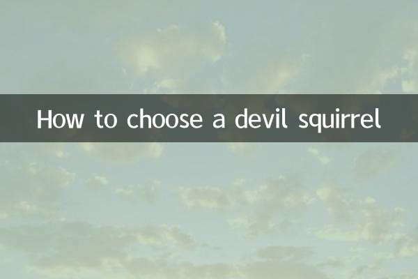 शैतान गिलहरी कैसे चुनें