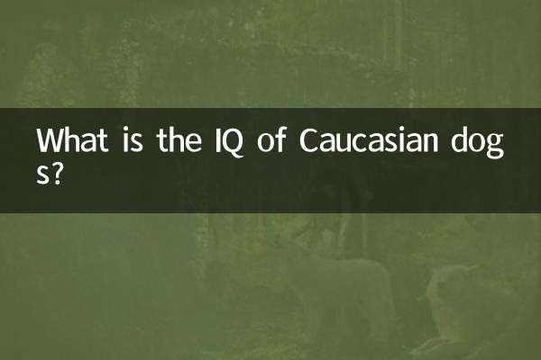 Qual è il QI dei cani caucasici?