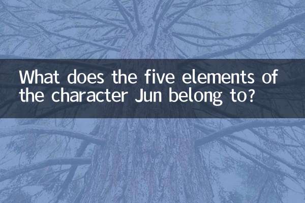 A cosa appartengono i cinque elementi del personaggio Jun?