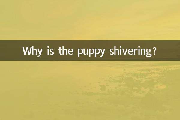 چرا توله سگ می لرزد؟