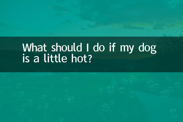 Que dois-je faire si mon chien a un peu chaud ?