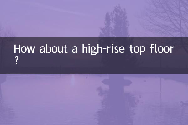 고층 맨 꼭대기층은 어때요?