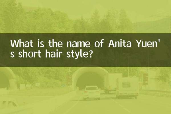 ما هو اسم أسلوب الشعر القصير لأنيتا يوين؟