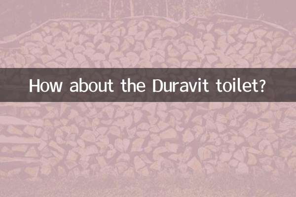 Che ne dici della toilette Duravit?