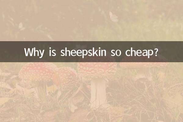 ভেড়ার চামড়া এত সস্তা কেন?