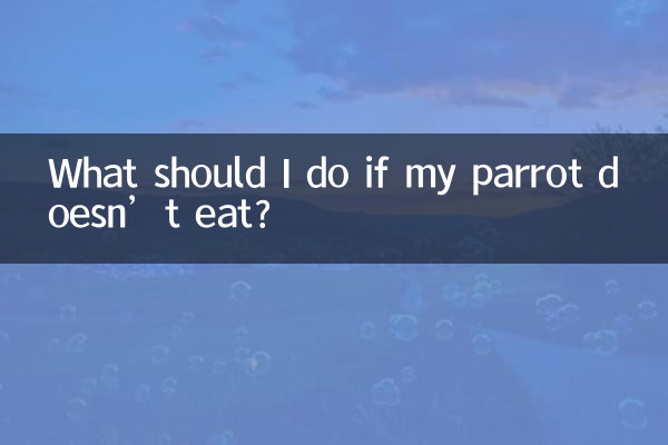 اگر میرا طوطا نہیں کھاتا ہے تو مجھے کیا کرنا چاہئے؟