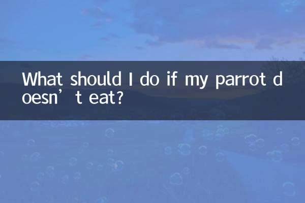 Cosa devo fare se il mio pappagallo non mangia?
