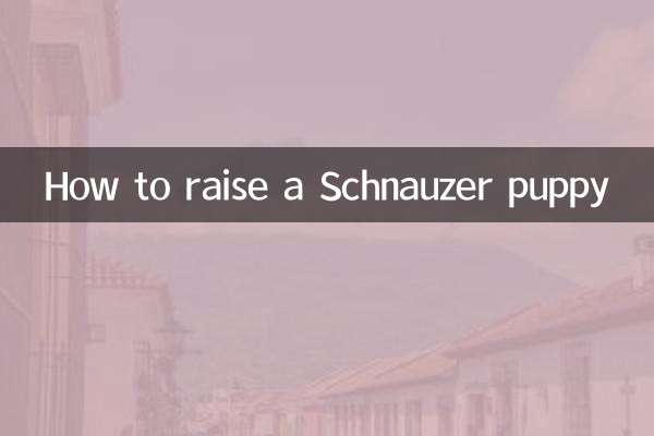 シュナウザーの子犬の育て方