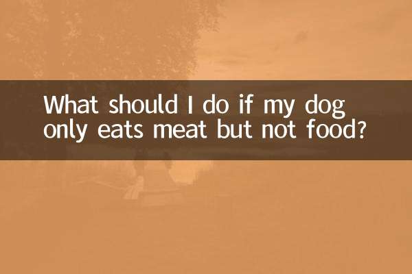 What should I do if my dog only eats meat but not food?