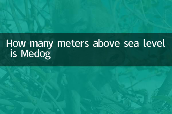 メドグの標高は何メートルですか