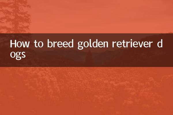 Как разводить собак золотистых ретриверов