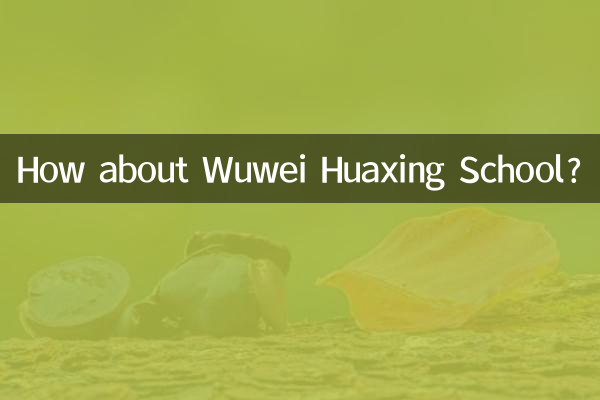 Que tal a Escola Wuwei Huaxing?