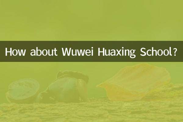 How about Wuwei Huaxing School?