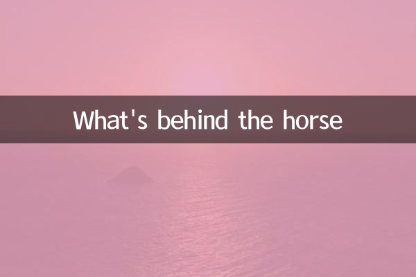 말 뒤에 뭐가 있지?