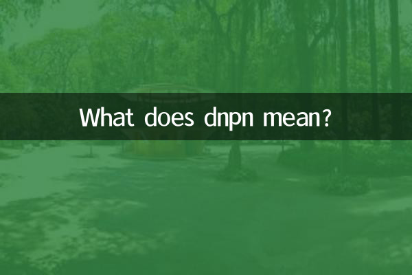 dnpn یعنی چی؟