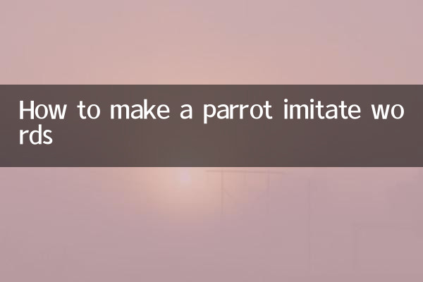 Wie man einen Papagei dazu bringt, Wörter nachzuahmen