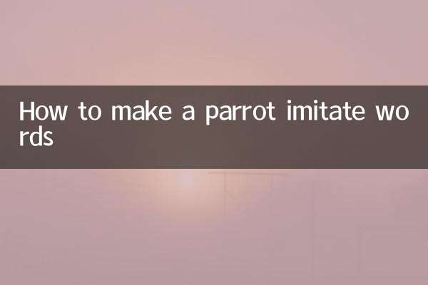 Wie man einen Papagei dazu bringt, Wörter nachzuahmen