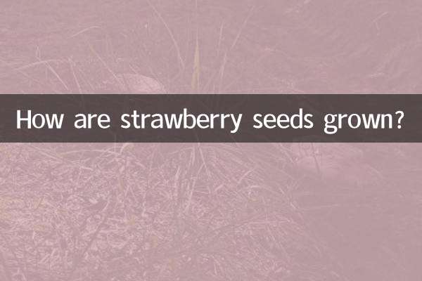 স্ট্রবেরি বীজ কিভাবে জন্মানো হয়?