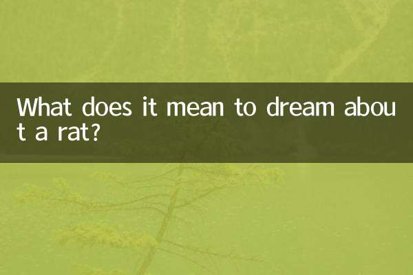 쥐꿈 해몽은 무슨 뜻인가요?