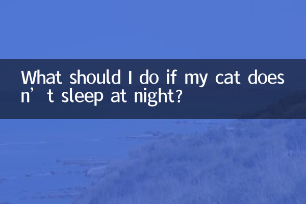 اگر گربه من شب ها نخوابد چه کار کنم؟