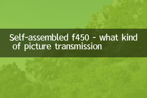 Self-assembled f450 - what kind of picture transmission