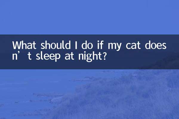 اگر گربه من شب ها نخوابد چه کار کنم؟