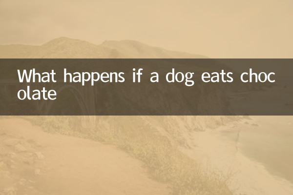 Que se passe-t-il si un chien mange du chocolat