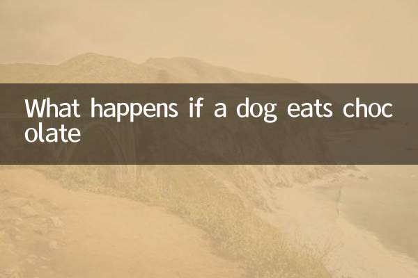 Que se passe-t-il si un chien mange du chocolat