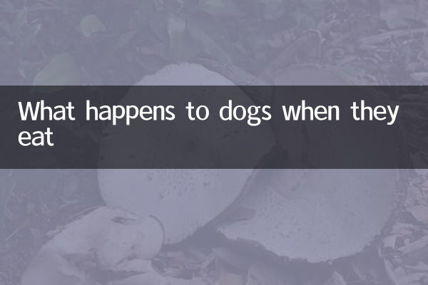What happens to dogs eating