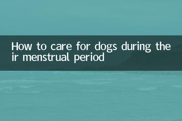 Comment prendre soin des chiens pendant les menstruations