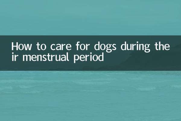 Como cuidar de cães durante a menstruação