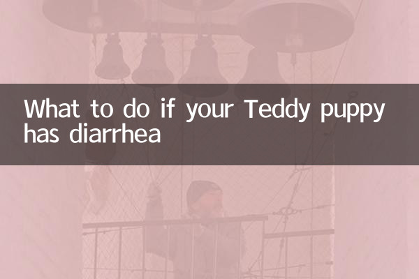 Cosa fare se il tuo cucciolo di Teddy ha la diarrea