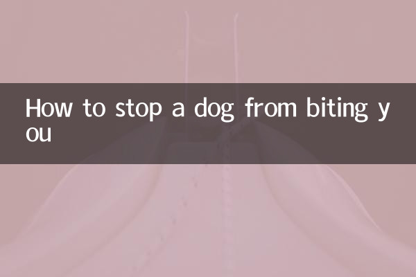 Como impedir que um cachorro morda você